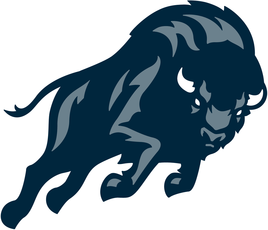 Howard Bison 2015-Pres Partial Logo iron on transfers for clothing